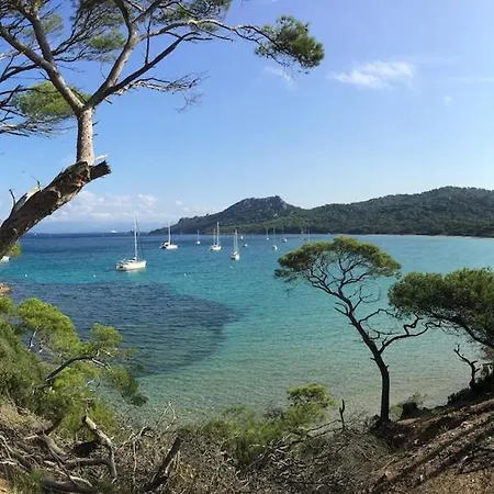 Le Jardin Du Palm - Domaine De Standing Lejlighed Cannes