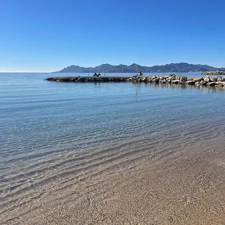 Le Jardin Du Palm - Domaine De Standing Cannes